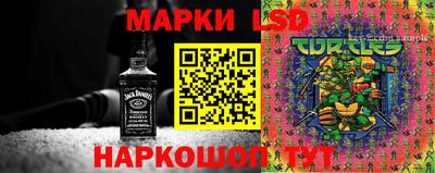крисы Ставрополь