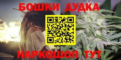 крисы Ставрополь