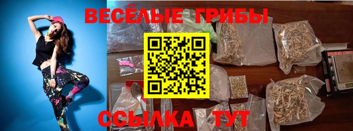 Галлюциногенные грибы Psilocybine cubensis  Псилоцибиновые грибы Psilocybine cubensis  Вологда  Вход с VPN 